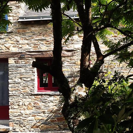 La Maison Paisible Guéméné-Penfao エクステリア 写真